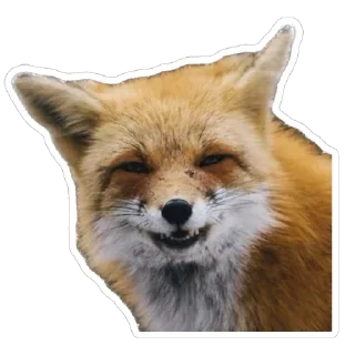 Sticker from Shadow’s Fox Den
