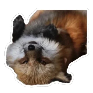 😄 emoji Shadow’s Fox Den Telegram sticker 11 of 92