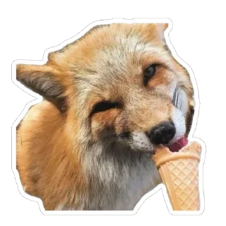🍦 emoji Shadow’s Fox Den Telegram sticker 22 of 92