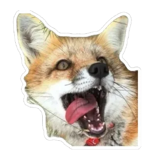 🤪 emoji Shadow’s Fox Den Telegram sticker 23 of 92