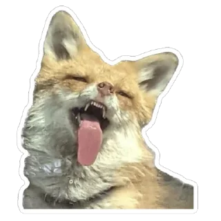 😜 emoji Shadow’s Fox Den Telegram sticker 8 of 92