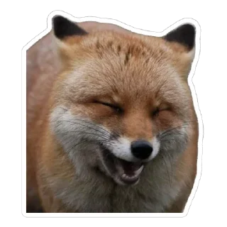 😂 emoji Shadow’s Fox Den Telegram sticker 12 of 92