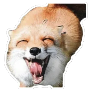 😄 emoji Shadow’s Fox Den Telegram sticker 19 of 92