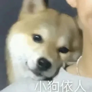 楚云飞的吗？::@chuyunfeiTG sticker 4