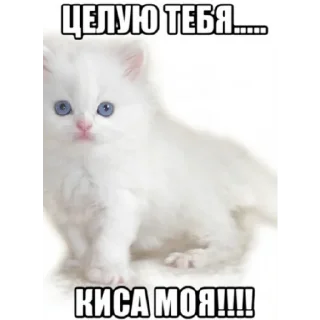 😘 emoji нацист Telegram sticker 12 of 32