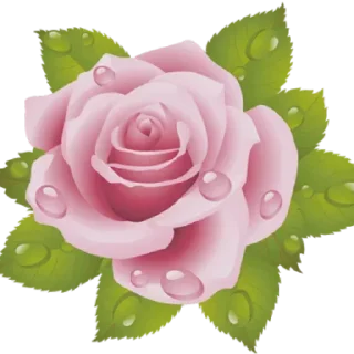 🌸 emoji ورود ٣ Telegram sticker 24 of 120