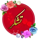 Shamdoni3 sticker preview 3