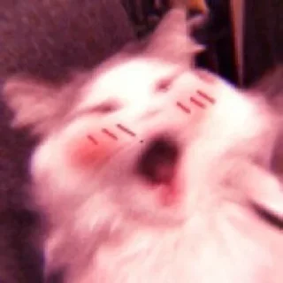 💓 emoji ꒰ ˃̶̤́ ꒳ ˂̶̤̀ ꒱·◌*.♡ @riokyu Telegram sticker 24 of 72