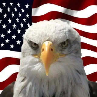 🇺🇲 emoji Based poland pack Telegram sticker 13 of 39