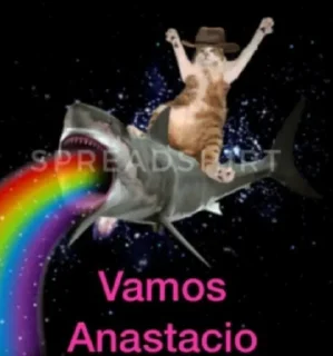 🌓 emoji il caxxo di @sociofobica Telegram sticker 23 of 59