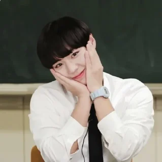 😍 emoji jihoon:3 Telegram sticker 9 of 82