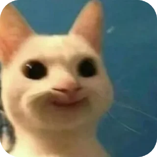 🐱 emoji IDK، Telegram sticker 7 of 64