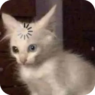 🐱 emoji IDK، Telegram sticker 12 of 64