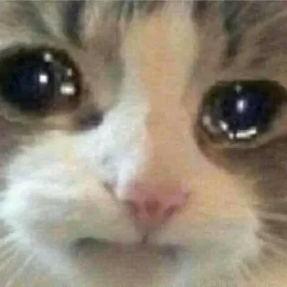 😢 emoji IDK Telegram sticker 24 of 113