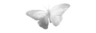🌟 emoji Wings  @coquettegirldiary Telegram sticker 17 of 57