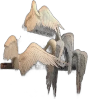 🌟 emoji Wings  @coquettegirldiary Telegram sticker 18 of 57