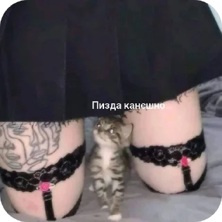 👟 emoji Чисто для чата СС Telegram sticker 8 of 35