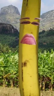 🍌 emoji бананы форевер. Telegram sticker 23 of 25