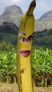 🍌 emoji бананы форевер. Telegram sticker 17 of 25