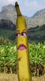 🍌 emoji бананы форевер. Telegram sticker 13 of 25