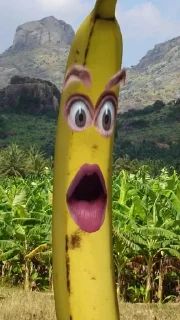 🍌 emoji бананы форевер. Telegram sticker 19 of 25