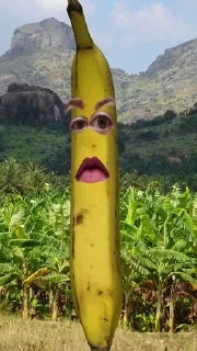 🍌 emoji бананы форевер. Telegram sticker 16 of 25