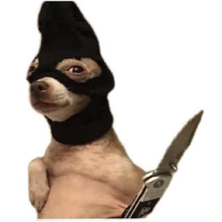 🐶 emoji No funny funny Telegram sticker 11 of 17