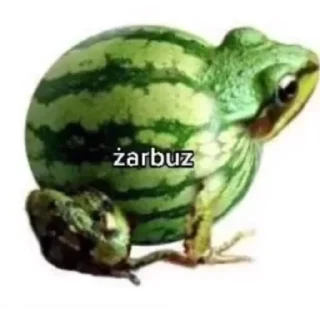 🌟 emoji Żaba Telegram sticker 11 of 75