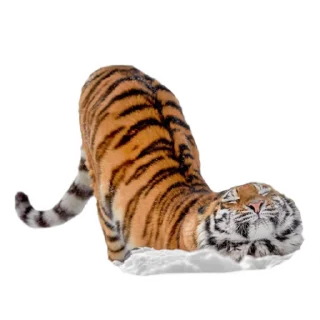 😼 emoji Maero's Tigers Telegram sticker 15 of 82