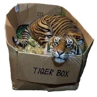 Sticker from Maero's Tigers