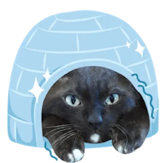 🥶 emoji Messenger Kingdom of Tigers Telegram sticker 9 of 25
