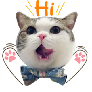 👋 emoji Messenger Kingdom of Tigers Telegram sticker 10 of 25