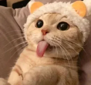 👅 emoji KrissiniMarket | Stickers Pack Telegram sticker 15 of 19