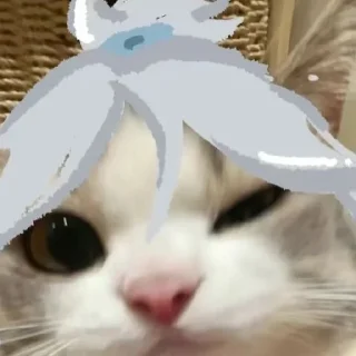 🌟 emoji lily's fav🎀😾 Telegram sticker 12 of 120