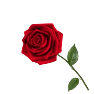 🌹 emoji ورود Telegram sticker 3 of 7
