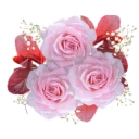 🌺 emoji @word16 ورود 🌹 Telegram sticker 15 of 116