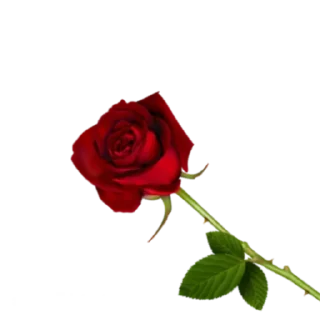 🌹 emoji ورود Telegram sticker 7 of 7