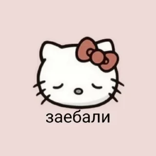 🦭 emoji [🦭] ;; beomgyu ;; @lumicore_present Telegram sticker 16 of 40