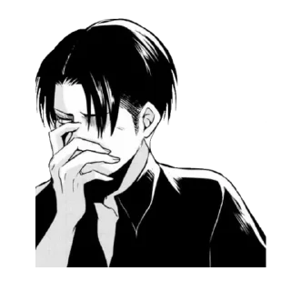 Sticker from Levi Ackerman