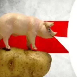 🐷 emoji Gudus no history Telegram sticker 14 of 120