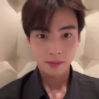 Sticker from cha eun woo' @ogbudovnax