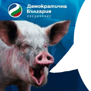 🐷 emoji Моджо Telegram sticker 6 of 120