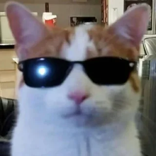😎 emoji ммммм киці Telegram sticker 12 of 71