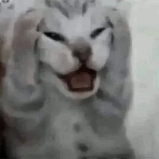 😱 emoji ммммм киці Telegram sticker 17 of 71