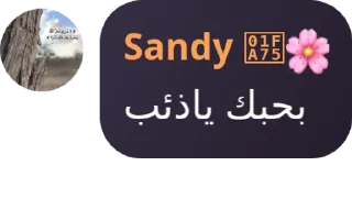 🙍 emoji Sandy 💙🌸's pack Telegram sticker 22 of 42