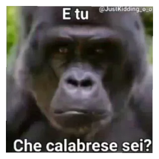 🦍 emoji Il ban non è rimovibile Telegram sticker 7 of 100