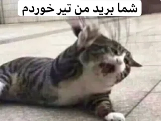 🥲 emoji 🚶🏻‍♀🔪 Telegram sticker 13 of 110