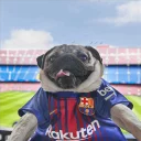 ⚽ emoji Pug =)) @pistolwhip Telegram sticker 18 of 79