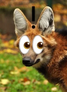 👀 emoji Leggy Googly Eyes @Miomiya Telegram sticker 15 of 63