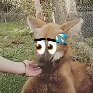 👀 emoji Leggy Googly Eyes @Miomiya Telegram sticker 8 of 63